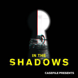 In the Shadows image