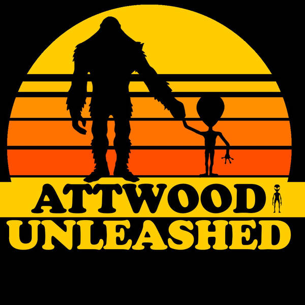 Secret Space Programs, Hells Angels, The Paranormal & Anarchapulco: Attwood Unleashed 94