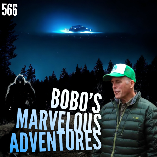 566: Bobo's Marvelous Adventures
