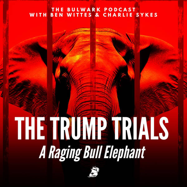 A Raging Bull Elephant