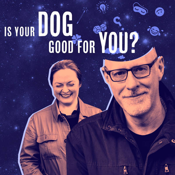 28: Nature & Animals