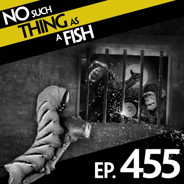 No Such Thing As A Suspicious Duffel Bag