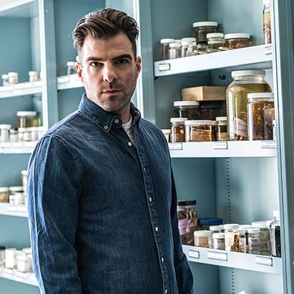 211: Looking For Signs Of Life On In Search Of