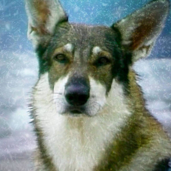 180: Bundle Up For A Wintry Round Of TV Forcenings