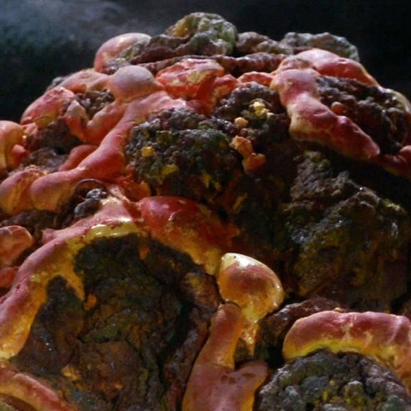 179: Give Thanks For Another All-FMK Episode Of Extra Hot Great