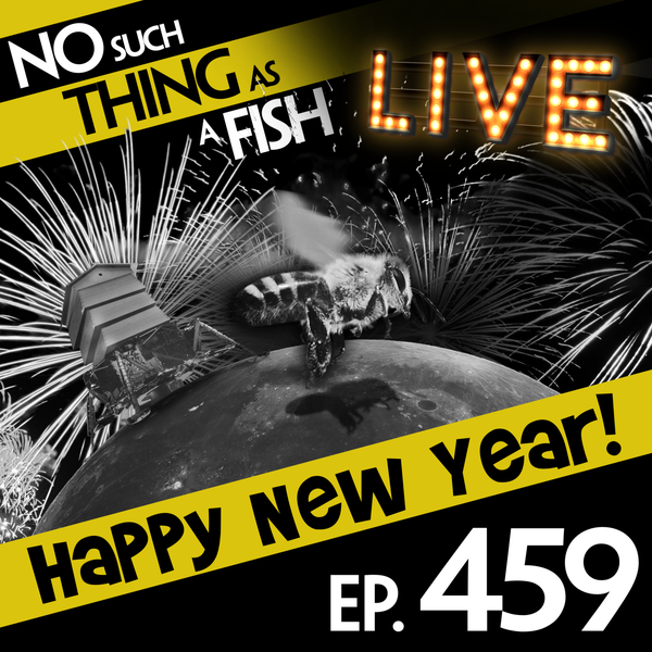 No Such Thing As A Bee On The Moon