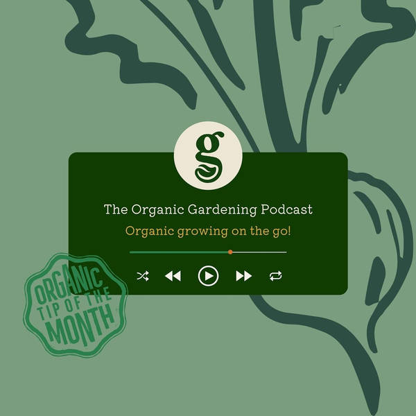 S3 Ep1: January - Even garden pests deserve a meal! How to grow with nature, not against it.