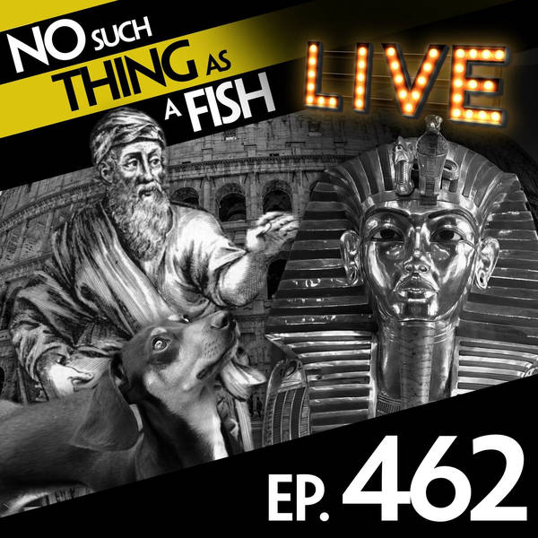 No Such Thing As A Luigi Board