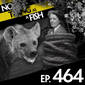 464: No Such Thing As An Average Bucket