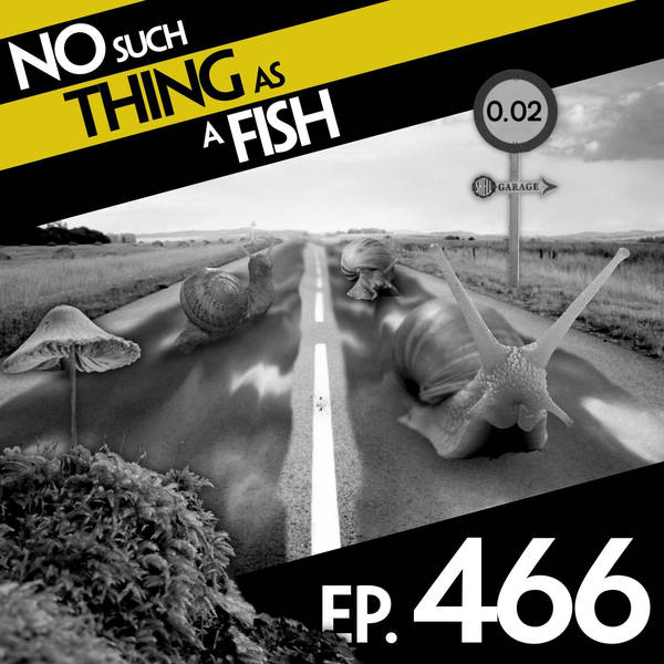 No Such Thing As Political Moss