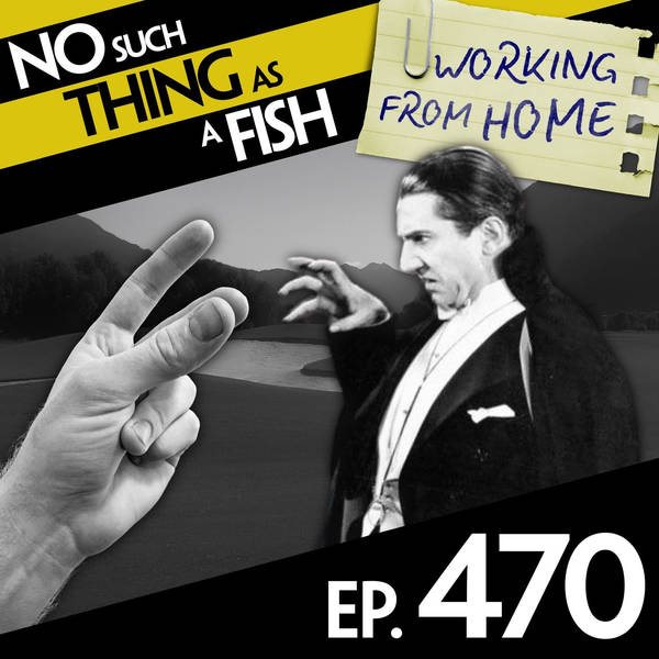 No Such Thing As A Walking Stick Full of Bagels