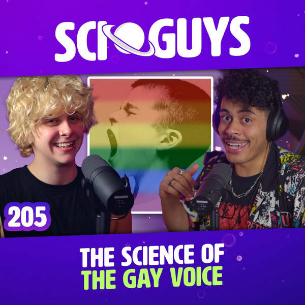 205: The Science of The Gay Voice (with NOAHFINNCE)