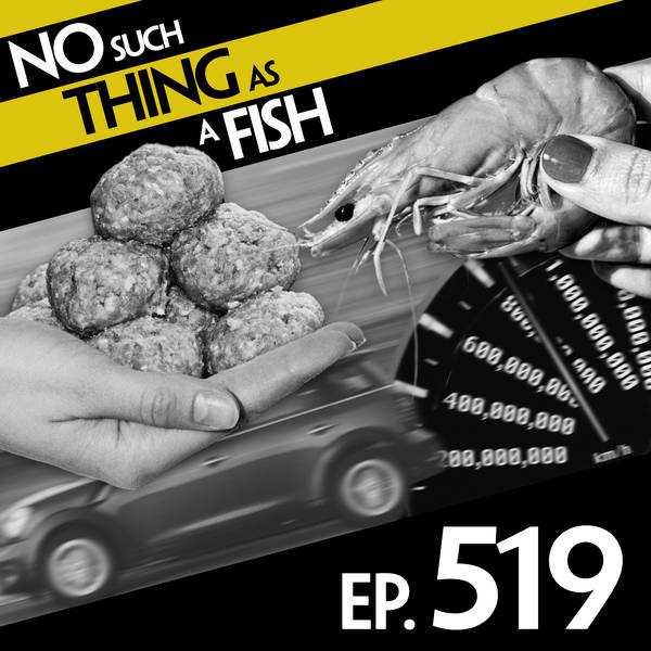 No Such Thing As A Noice Computer