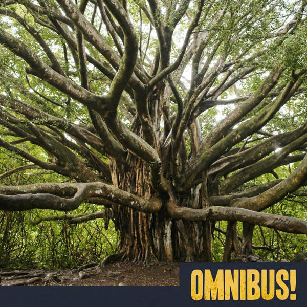 Episode 516: Mother Trees (Entry 810.LK2129)