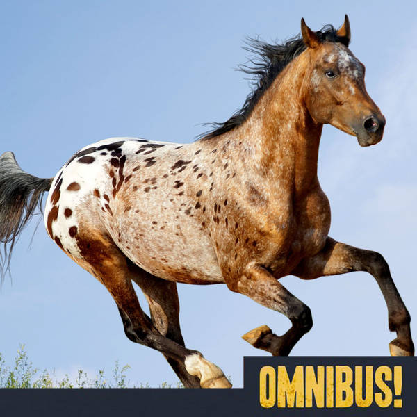 Episode 476: The Appaloosa (Entry 059.ZC0603)