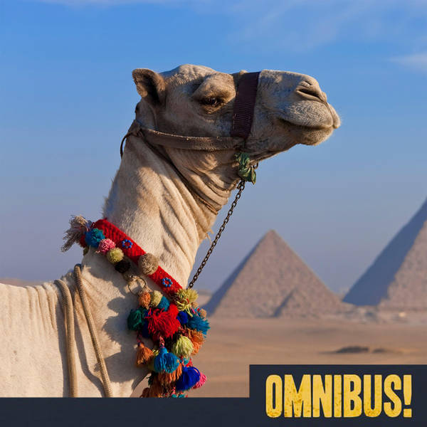 Episode 450: Camel Beauty Pageants (Entry 177.MT2324)