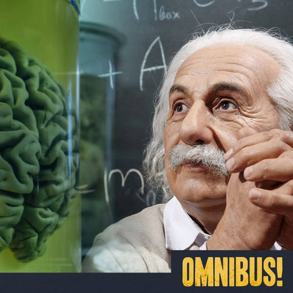 Episode 583: Einstein's Brain (Entry 399.JB1909)