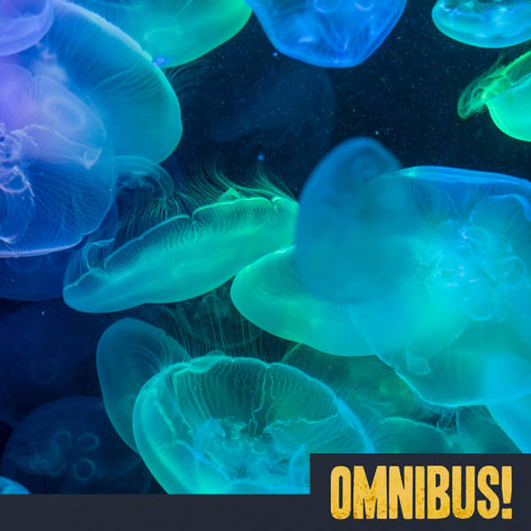 Episode 576: Jellyfish Blooms (Entry 671.PS10425)
