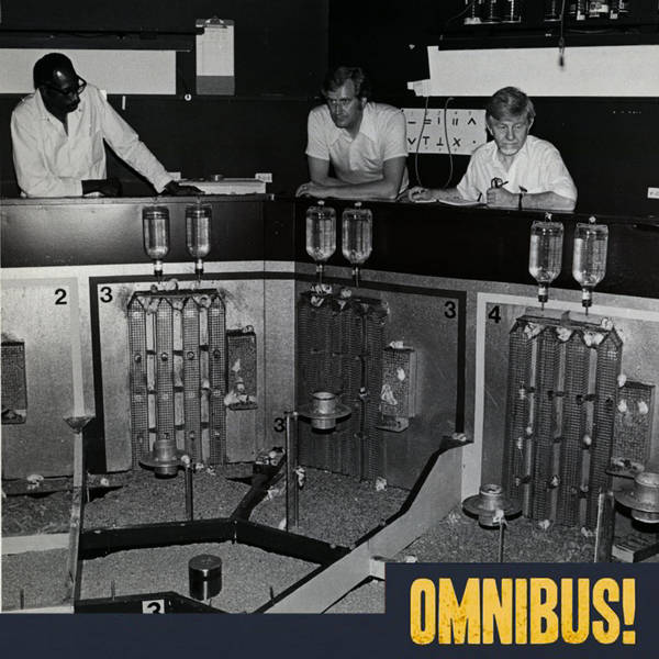 Episode 560: Universe 25 (Entry 1350.GE0907)