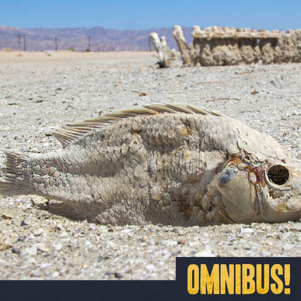 Episode 554: Salton Sea (Entry 1098.GN1403)