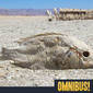 Episode 554: Salton Sea (Entry 1098.GN1403)