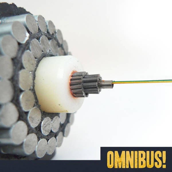 Episode 258: The International Cable Protection Committee (Entry 654.IS4316)