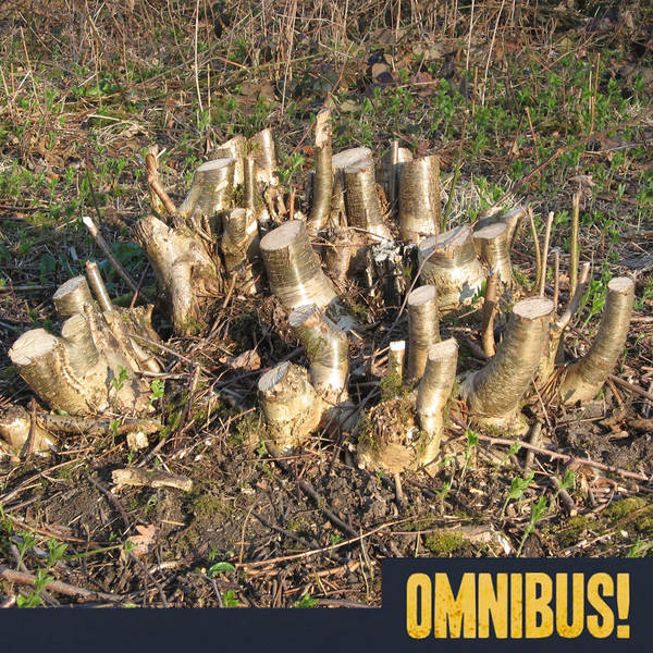 Episode 228: Coppicing (Entry 276.PS8015)