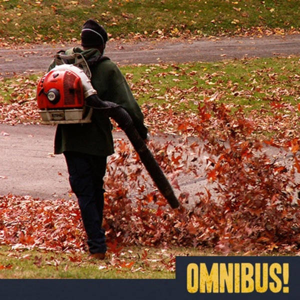 Episode 218: The Leafblower (Entry 707.DA0414)