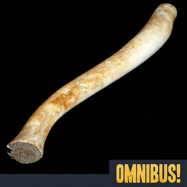 Episode 382: The Oosik (Entry 868.GN0223)