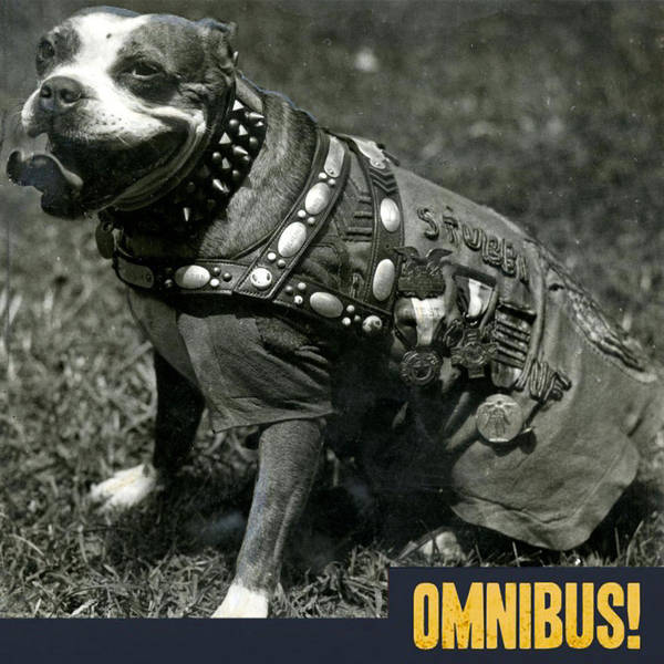 Episode 335: Sergeant Stubby (Entry 1136.PS1848)