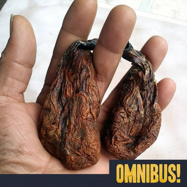 Episode 334: Beaver Castoreum (Entry 108.EX3035)