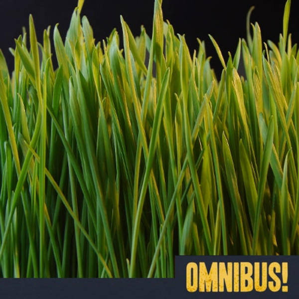 Episode 207: Grass (Entry 546.MK0639)