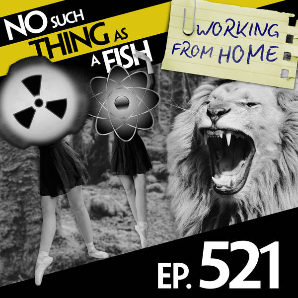 S1 Ep521: No Such Thing As A Human-Sized Peanut