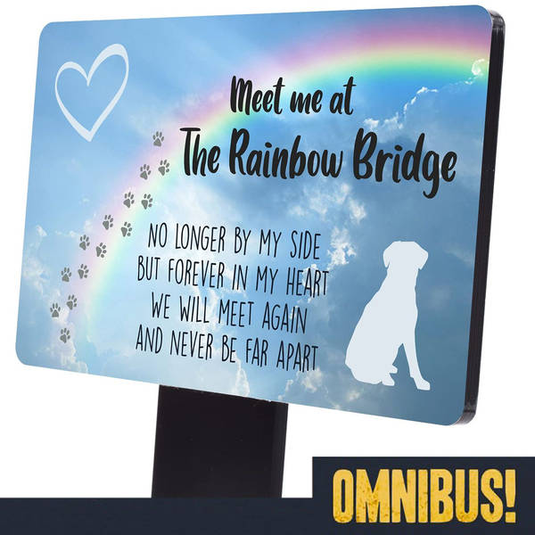 The Rainbow Bridge (Entry 1028.EC0319)