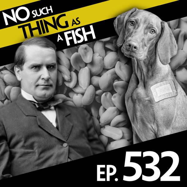 No Such Thing As 'Is It Mushroom?'