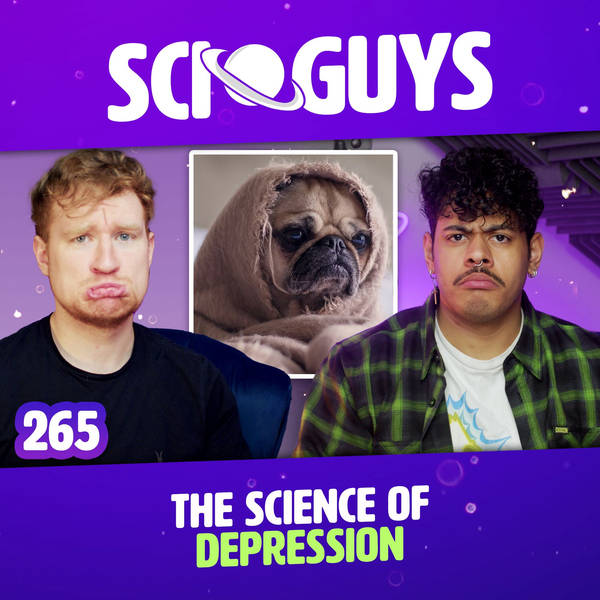 265: The Science of Depression