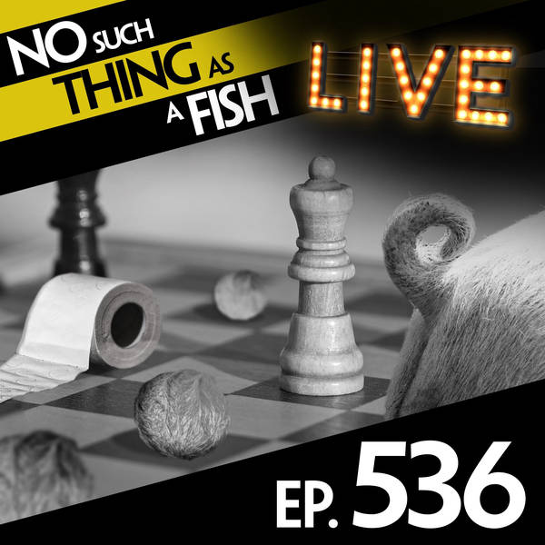 No Such Thing As A Soaring Chinchilla