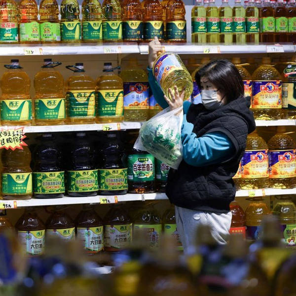 Chinese Whispers: how oil became the latest food scandal