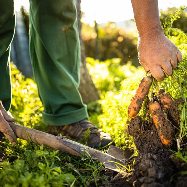 Innovator of the Year Awards: Sustainability and Social Purpose