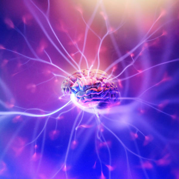 489: 2023 Guest Thought Experiments