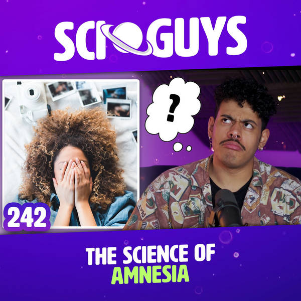 242: The Science of Amnesia