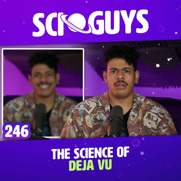 246: The Science of Deja Vu (Best of 2023)