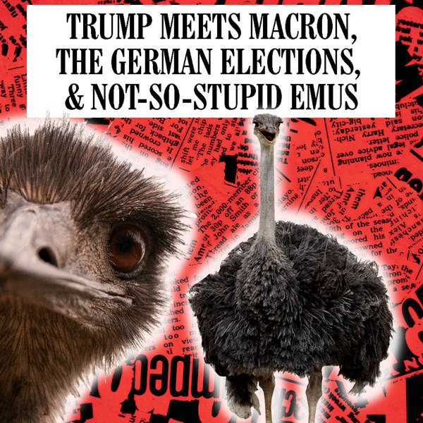 Trump Meets Macron, The German Elections & Not-So-Stupid Emus