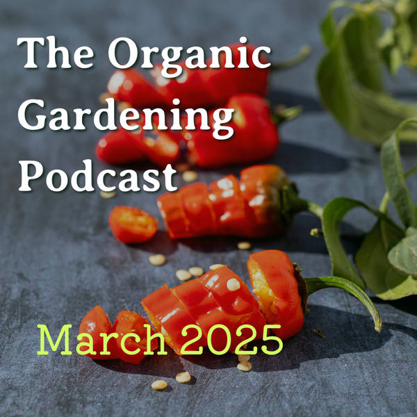 S5 Ep3: March - Do we really have a problem with food waste? with Tristram Stuart