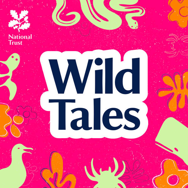 Introducing Wild Tales