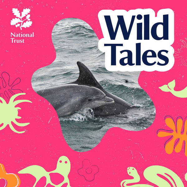 Dolphin Social Networks | Mothers, Besties and Bodyguards