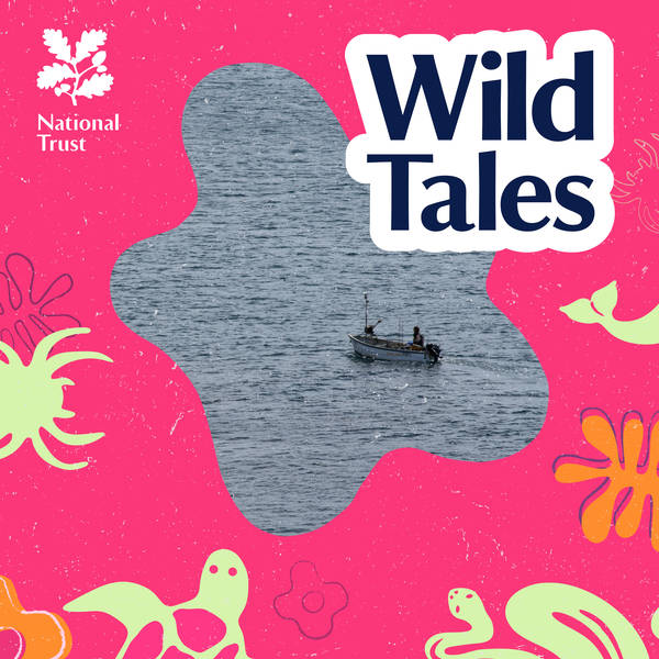 The Elusive Leaping Shark | Searching for Cryptic Creatures