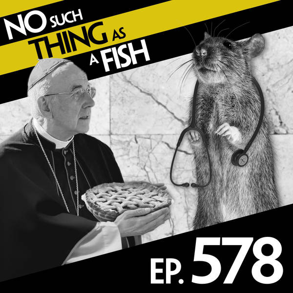 No Such Thing As A Pouched Rat On The Housing Ladder