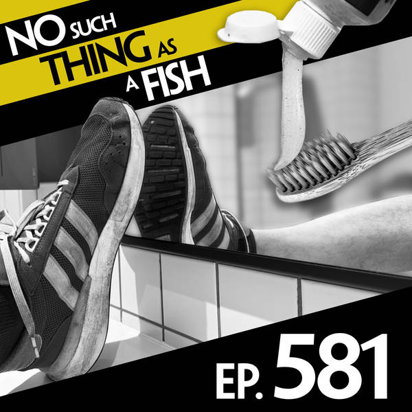 No Such Thing As Clean Victoria