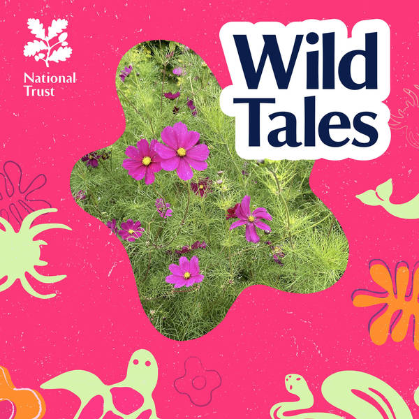 Green Therapy | The Healing Power of Gardens